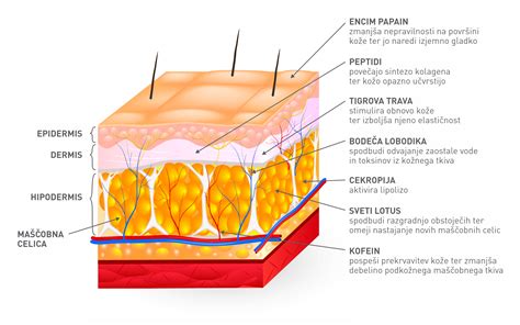 Grafikon, ki prikazuje zmanjšanje celulita skozi čas ob kombinaciji različnih metod.