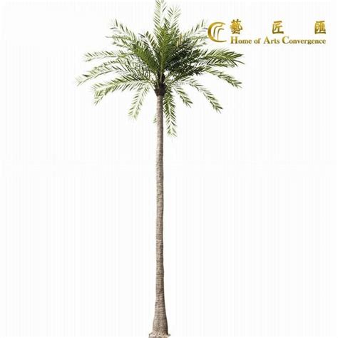 tropsko drevo z izcedkom smole