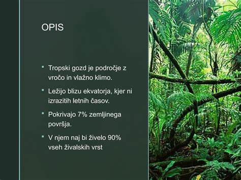 območje tropskega deževnega gozda