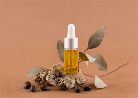 Ilustracija rastlin, ki se uporabljajo v naravni kozmetiki