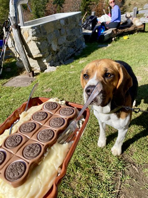 Pokrajina Planine Prevala