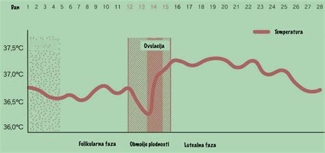 Graf bazalne telesne temperature, ki prikazuje dvig temperature med ovulacijo
