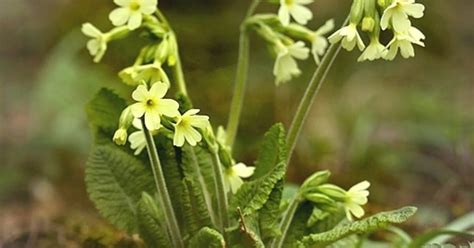 Notranjost modne oblikovalske delavnice Teje Jeglič