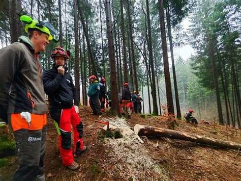 simbol varnega dela za nosečnice