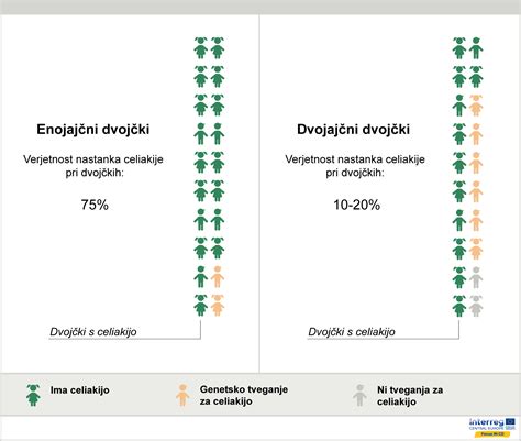 diagram dvojajčnih dvojčkov