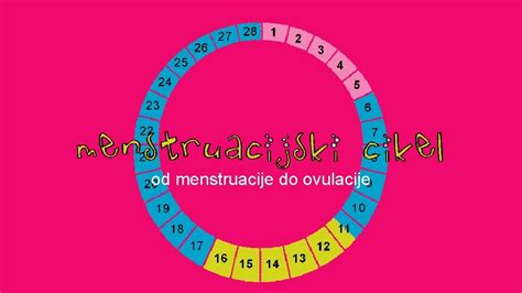 Diagram, ki prikazuje časovno premico od poroda do prve ovulacije in menstruacije.