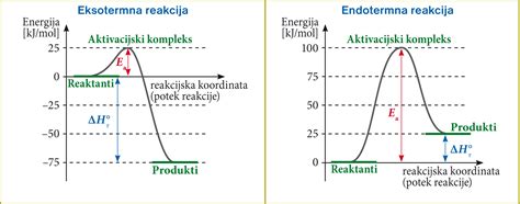 Diagram delovanja mlečne kisline v nožnici