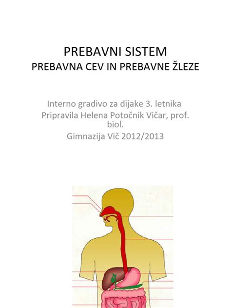Diagram, ki prikazuje prebavni sistem otroka