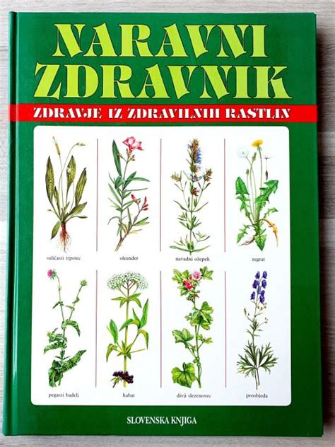 Ilustracija zdravilnih rastlin, ki se uporabljajo v uroloških čajih