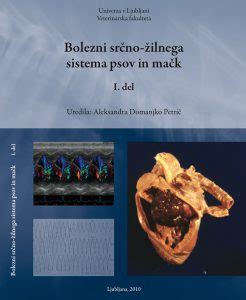 Diagram žilnega sistema medenice