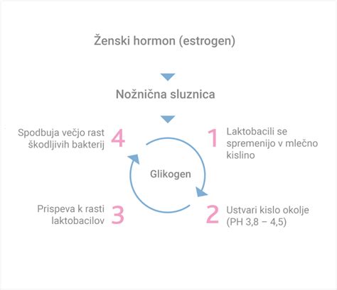Diagram nožnične flore z razmerjem med laktobacili in kvasovkami