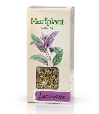 Nosečnica pije zeliščni čaj