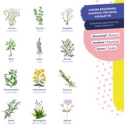 Nabor različnih zdravilnih zelišč z opozorilnimi znaki