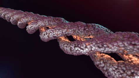 Ilustracija molekule folata