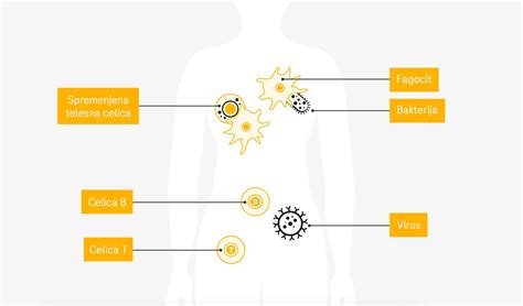 Ilustracija imunskega sistema, ki napada celice telesa