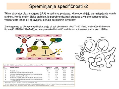 Diagram, ki prikazuje nastajanje krvnih strdkov pri antifosfolipidnem sindromu