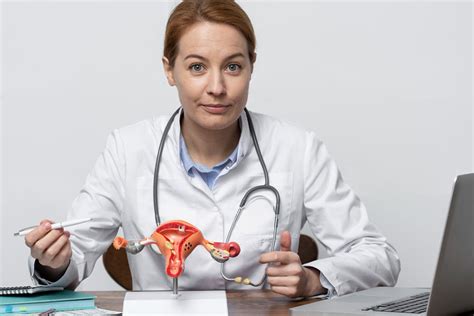 Ilustracija ženske reproduktivne anatomije