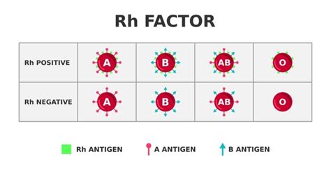 Diagram Rh faktorja in inkompatibilnosti