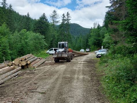 Ženska, ki nežno izvaja jogo v naravnem okolju.
