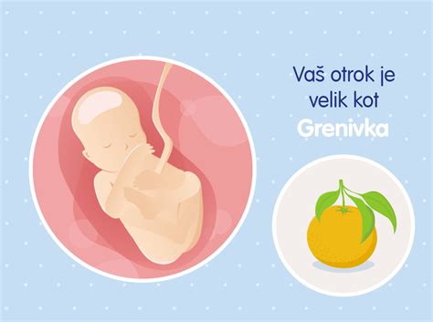 Simbolična podoba zdrave nosečnosti
