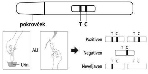 Nosečnica drži v rokah test nosečnosti