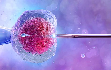 Ženska in moški v laboratoriju, ki izvajata IVF postopek
