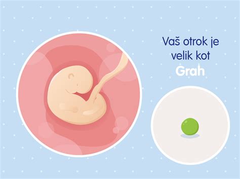Ilustracija hormonskih sprememb v nosečnosti