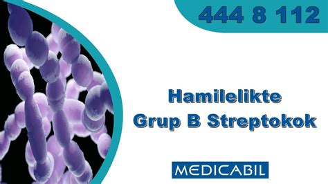 Simbolična upodobitev bakterije Streptokok B
