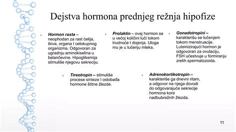 Fiziologija dojenja in vpliv na hormone