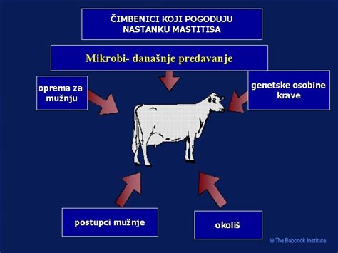 simptomi mastitisa