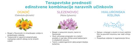 Časovnica izraščanja prvih zobkov