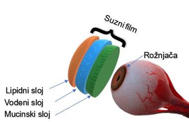 Diagram sestave solznega filma: mukozni, vodni in lipidni sloj