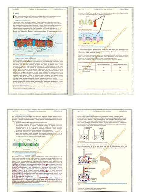 Diagram, ki prikazuje prehajanje vitamina K skozi posteljico in njegovo nizko vsebnost v materinem mleku