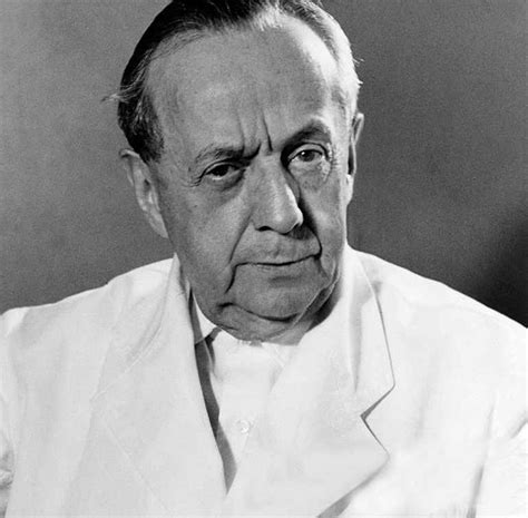 Johannes Heinrich Schultz