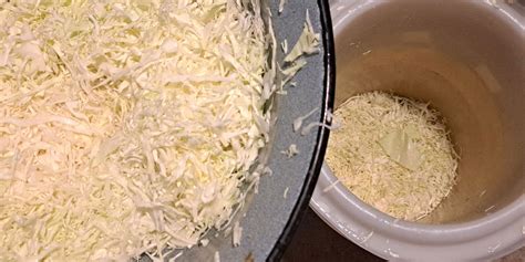 Sveže kislo zelje v posodi