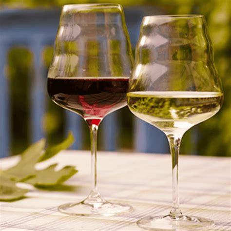 Simbolična upodobitev nosečnice, ki zavrača kozarec vina