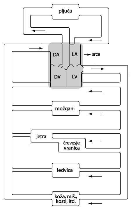 diagram, ki prikazuje pretok zraka skozi mrežo