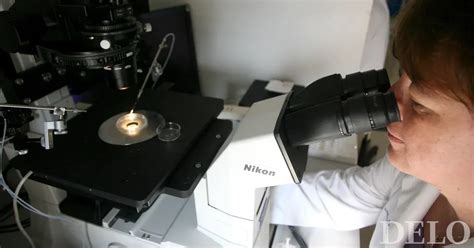 Zamenjava zarodkov pri umetni oploditvi