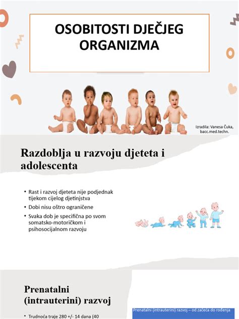 Infografika razvoja sluha v maternici