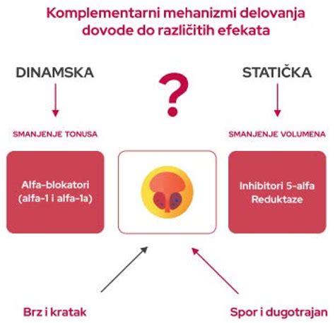 Diagram delovanja nosečniškega testa