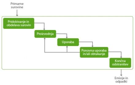 Diagram življenjskega cikla bolhe