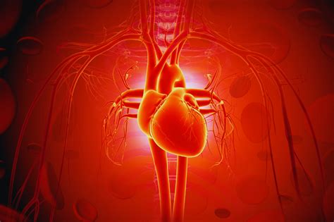 Infografika o različnih metodah spremljanja srčnega utripa ploda