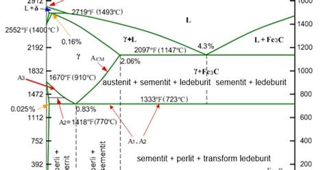 Diagram faz rasti las