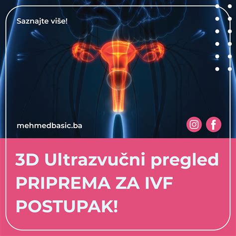 pregled reproduktivnih organov ženske