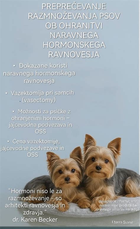 Diagram hormonskega ravnovesja pri ženskah