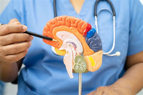 Ilustracija možganov s poudarkom na povezavah