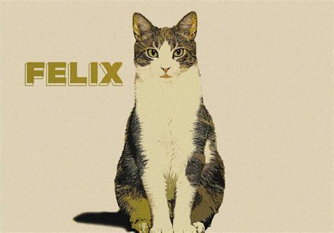 Ilustracija grenivke, prerezane na pol, z vidnimi mesnatimi segmenti.