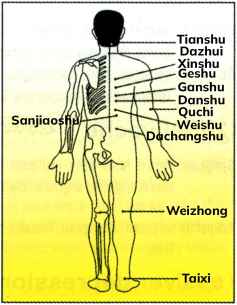 Diagram prikazuje akupunkturne točke za lajšanje hemoroidov