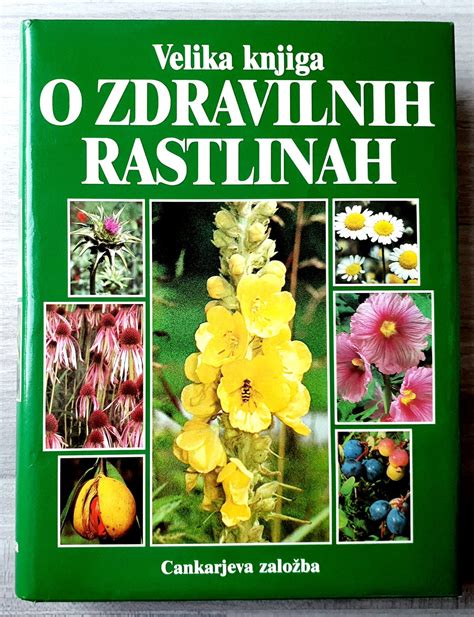 Infografika o rastlinah, ki simbolizirajo plodnost in rast