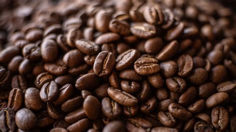 Diagram prikazuje, kako kofein prehaja skozi posteljico do ploda